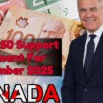 CRA $250 Support Payment For November 2025: Eligibility, Dates, Deposit Method, And How To Track Your Status