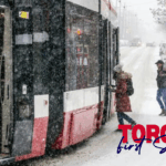 Toronto Weather After First Snow